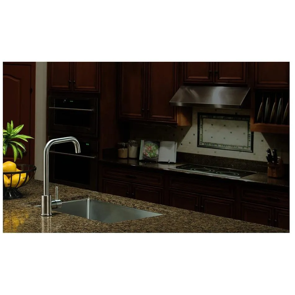 Stainless Steel Square Goosene